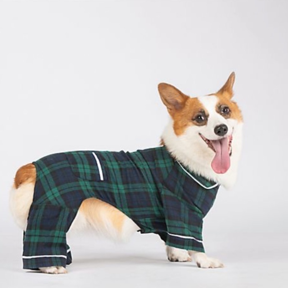 Dog plaid pajamas
